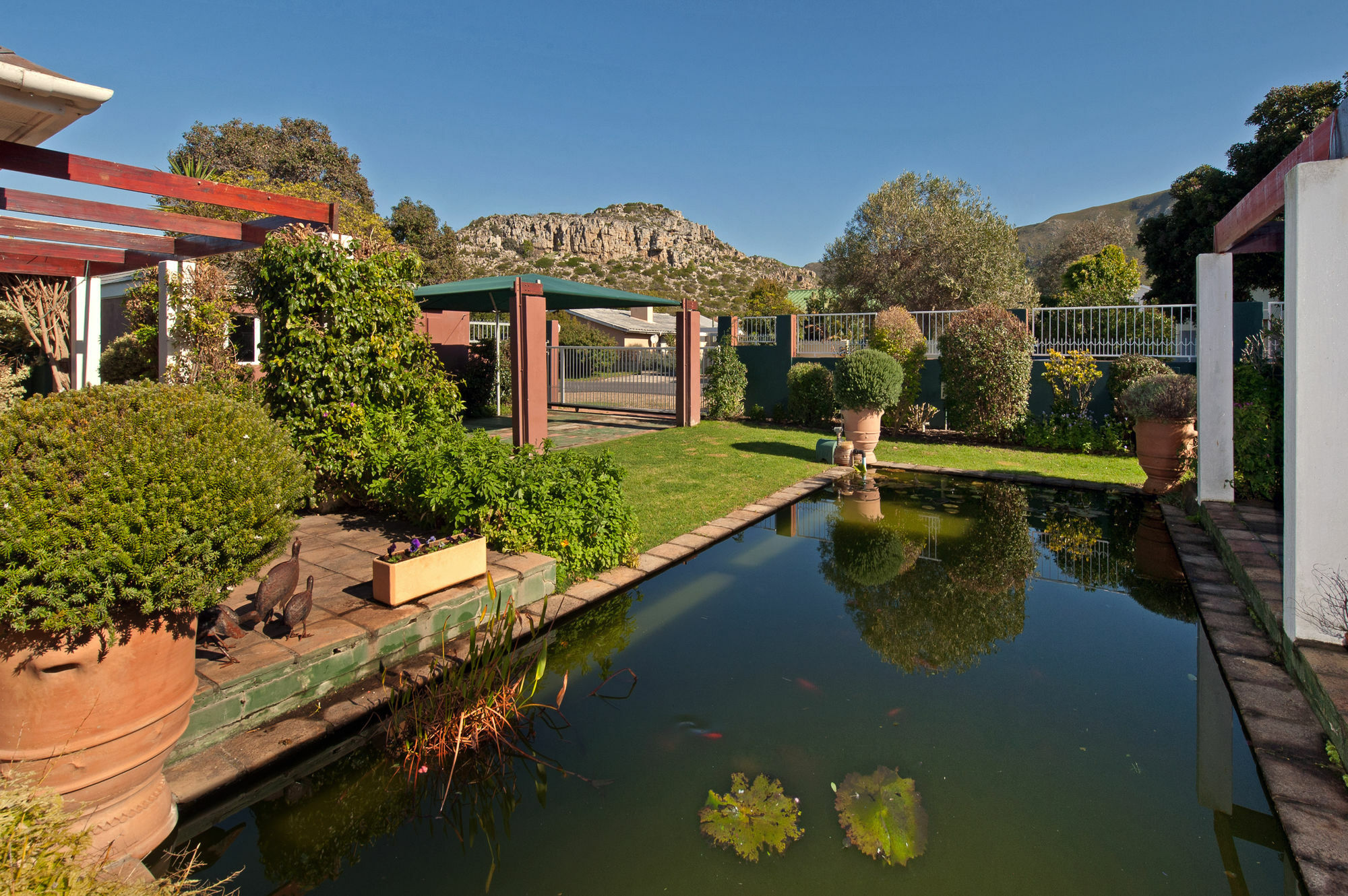 Brown Jug Guest House Hermanus Exterior foto